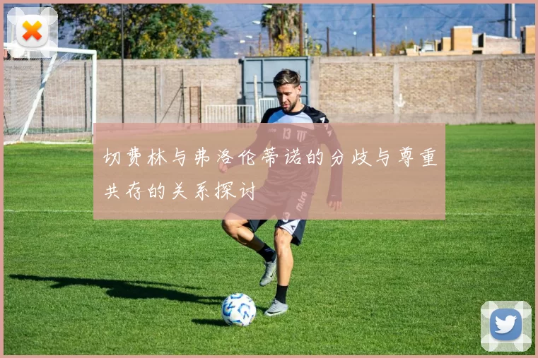 切费林与弗洛伦蒂诺的分歧与尊重共存的关系探讨